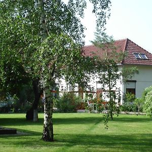 Roza Hotel Es Apartmanhaz
